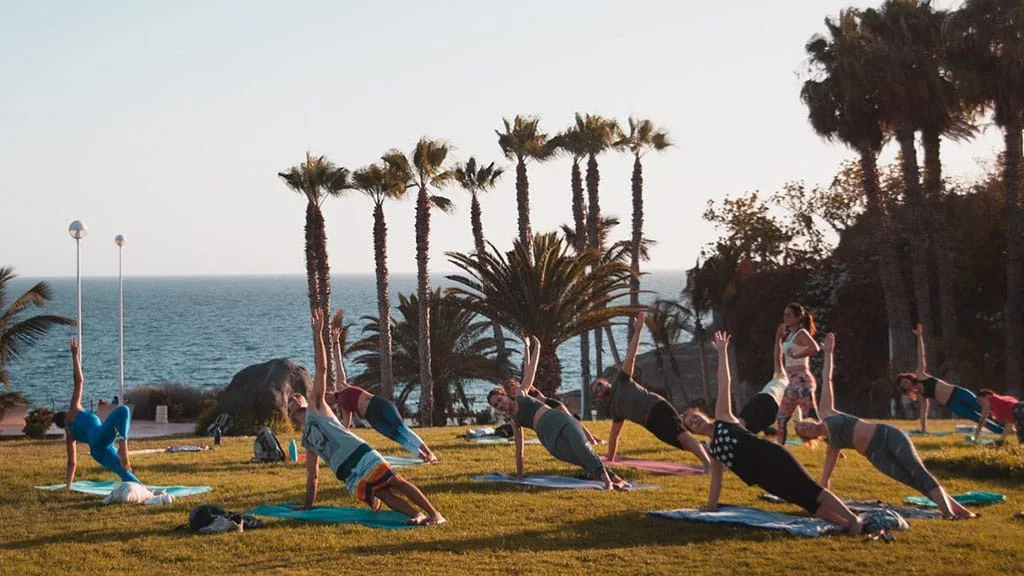 Accommodation – Sustainability in Focus: The Future of Fitness Travel