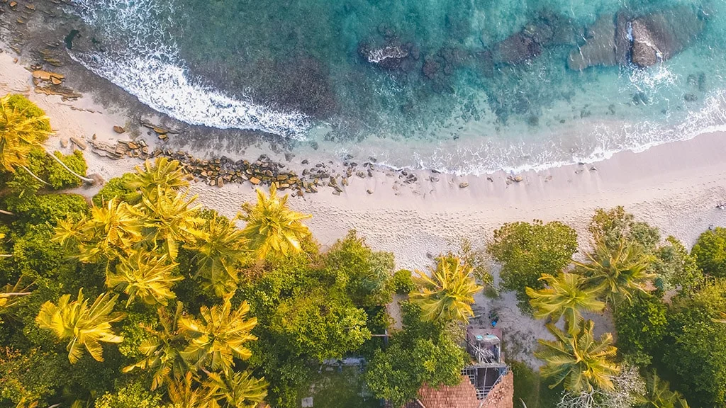Activities and Training – Sustainability in Focus: The Future of Fitness Travel
