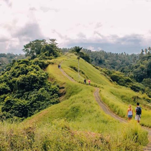 Bali-Ubud-Campuan-Ridge-Walk