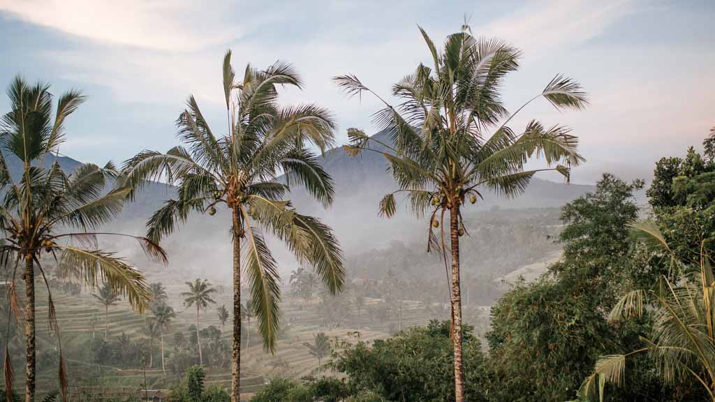 Landschaft Bali - Fitnessurlaub auf Bali für Reiseathleten