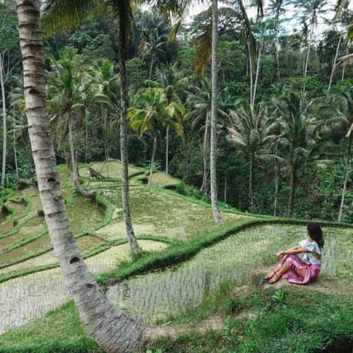 Reisfelder Bali - Sportreise Bali