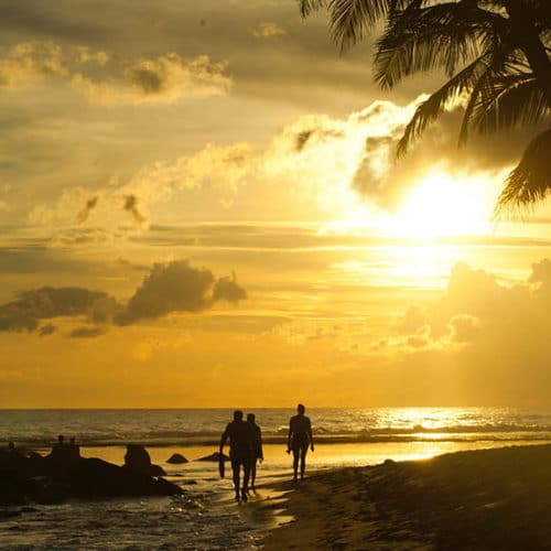 Sonnenuntergang Palmen - Extreme Hotel Cabarete - Fitnessurlaub für Reiseathleten in der Dominikanischen Republik