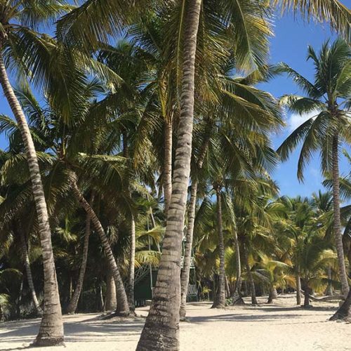 Strand und Palmen - Extreme Hotel Cabarete - Fitnessurlaub für Reiseathleten in der Dominikanischen Republik