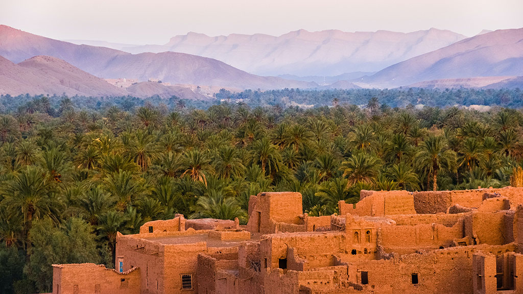 Fitnessurlaub in Marokko - Fitnessreisen für Reiseathleten Marokko - Palmenwüste