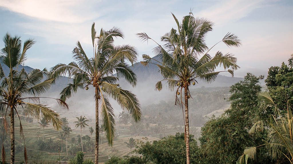 Fitness Vacation Bali - Fitness Vacation for Travelling Athletes