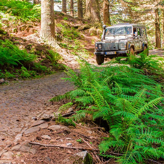 Fitness-Holiday-Sentido-Galoresort-Fitness-Relax-Active-Vacation-in-Madeira-Fitness-Holiday-Sentido-Madeira-Jeep-Safari-Nature-Fitness-Travel-Travelling Athletes-Madeira