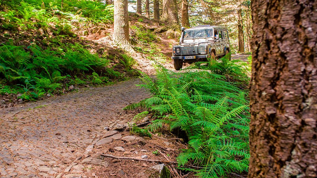 Fitness-Holiday-Sentido-Galoresort-Fitness-Relax-Active-Vacation-in-Madeira-Fitness-Holiday-Sentido-Madeira-Jeep-Safari-Nature-Fitness-Travel-Travelling Athletes-Madeira