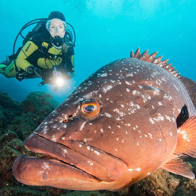 Fitness-Holiday-Sentido-Galoresort-Fitness-Relax-Active-Holiday-in-Madeira-Fitness-Holiday-Sentido-Madeira-Diving-Fitness-Travel-Travelling Athletes-Madeira