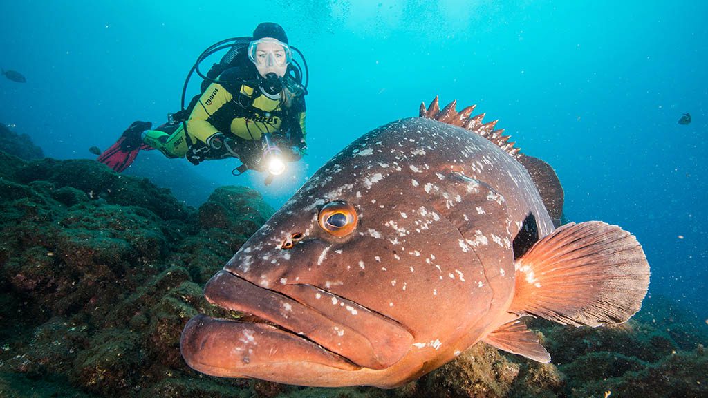 Fitness-Holiday-Sentido-Galoresort-Fitness-Relax-Active-Holiday-in-Madeira-Fitness-Holiday-Sentido-Madeira-Diving-Fitness-Travel-Travelling Athletes-Madeira