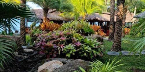 Nova Fitness Camp Vietnam - Coco Palm Resort - Fitness Camp Phu Quoc - Travelling Athletes Fitness Vacation Vietnam - Fitness Vacation - Fitness Holiday Vietnam - Travelling Athletes Travelling Athletes - 5