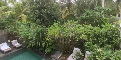 Purana Boutique Resort Ubud Bali - Fitnessurlaub Bali - Fitnessreisen für Reiseathleten